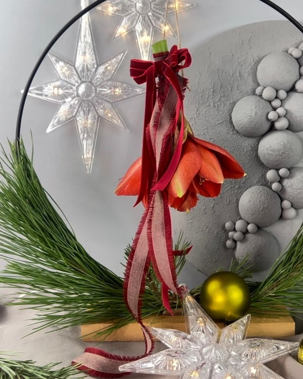 Kreativ mit Amaryllis dekorieren